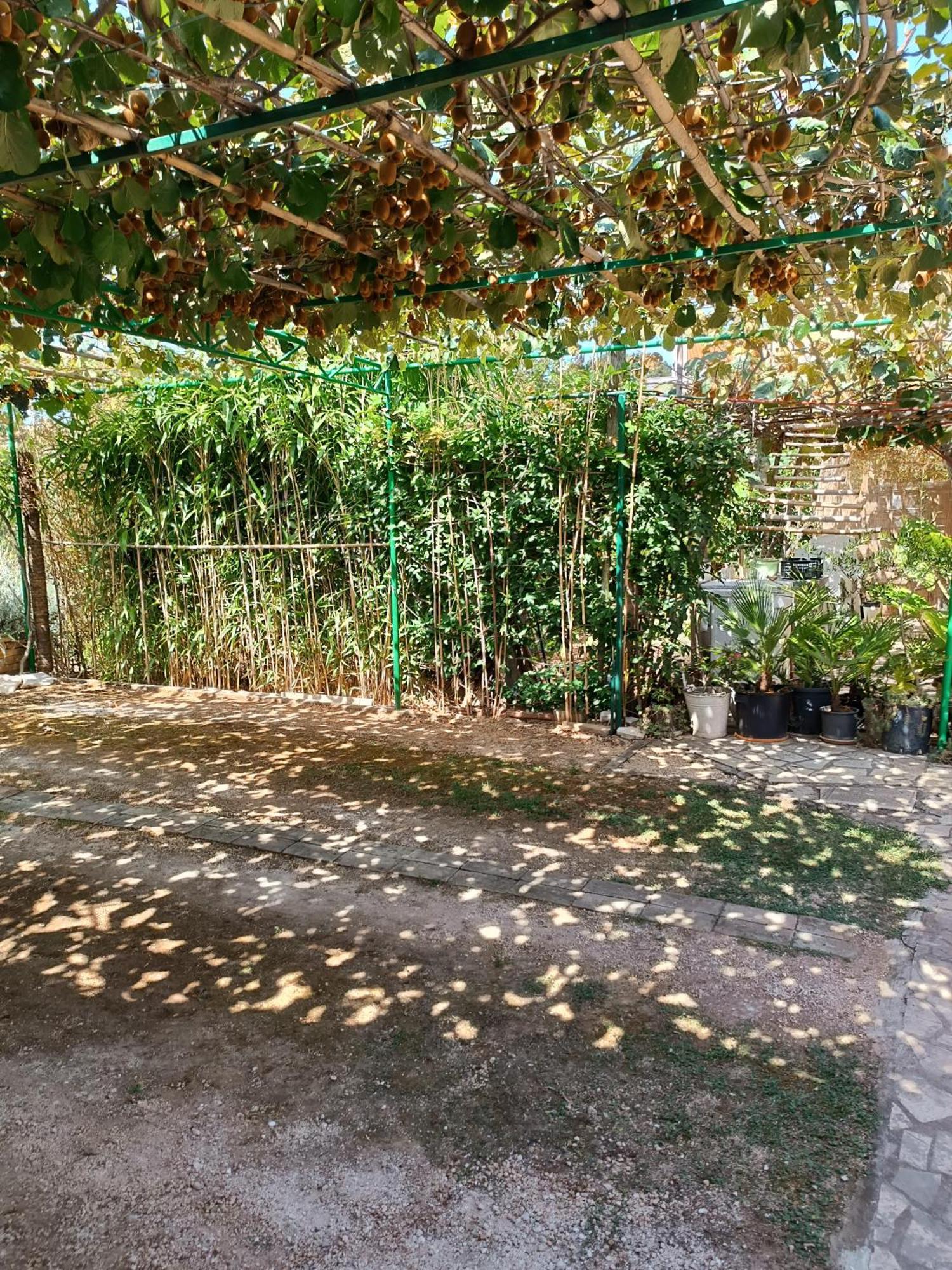 Levak Apartments - Apt. 2 بيشكانا أوفالا المظهر الخارجي الصورة